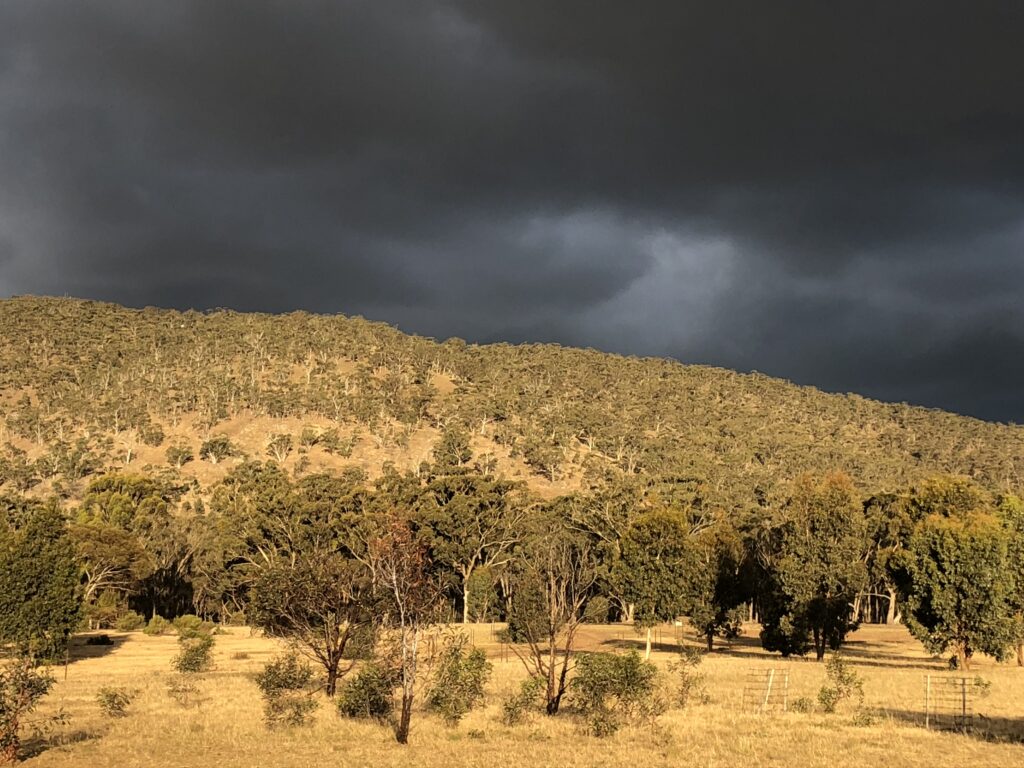 Humanity Towards Sustainability